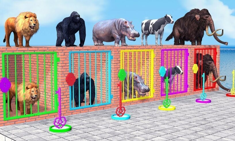 Long Slide Game With Elephant Gorilla Buffalo Hippopotamus Tiger - 3d Animal Game - Funny 3d Animals