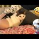 Try Not To Laugh Cats And Dogs Videos 😁 - Best Funniest Animals Video 2024 #6