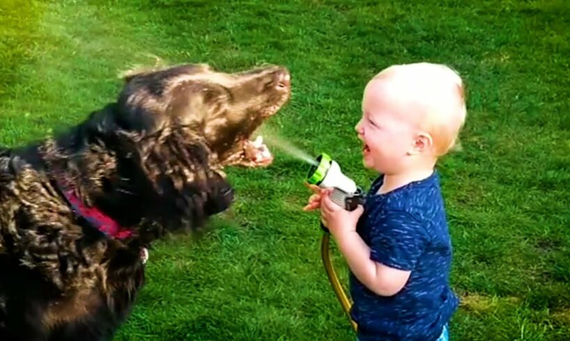 20 Minutes of HILARIOUS Babies Laughing With Pets 😹 | Kids and Animals 💕