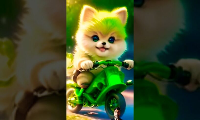 A dog driving a motorcycle 🥰😍 ll whatsapp status shorts ll 😩cute puppies cat 😺