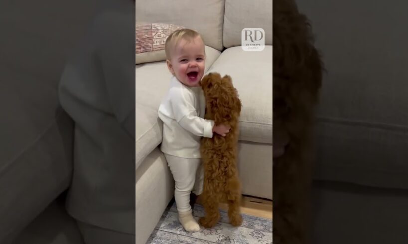 Adorable Puppy and Baby Meet for the Very First Time