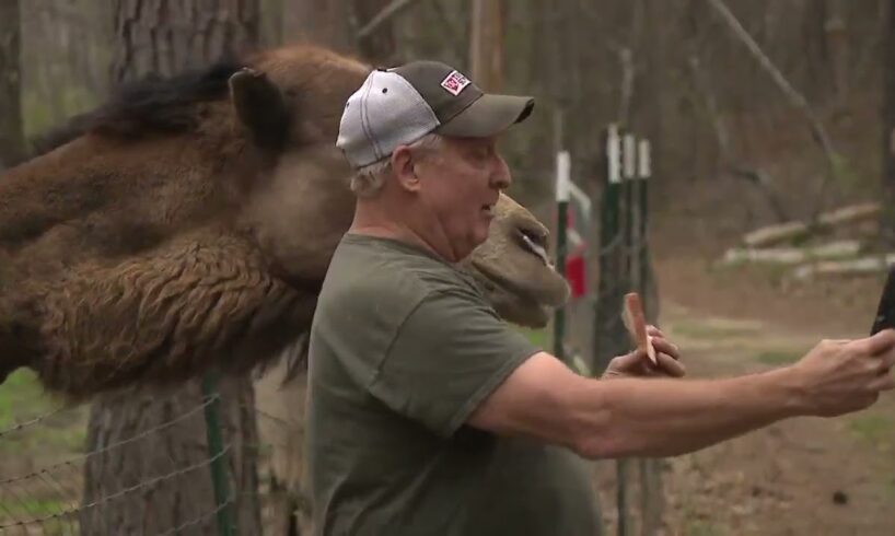 Alabama Champion: Serenity Farm provides sanctuary for rescued exotic animals