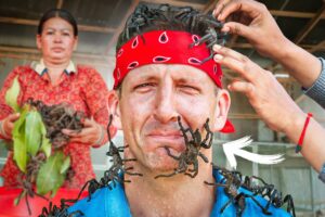 Asian Food Nightmare!! Cambodia’s Insect Eating Obsession!!