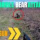 BEAR ATTACKS 2024 / HORRIBLE BEAR ATTACKS / ANIMALS ATTACKS ON HUMAN 2024