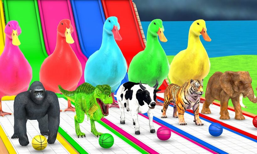 Basket Ball Game Game With Cow Elephant Gorilla Tiger Dinosaur Wild Animals Escape Cage Tire Game