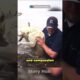 Brave Rescuers Save Dog from Louisiana Flood 🐶❤️#dogrescue #dogrescuevideos