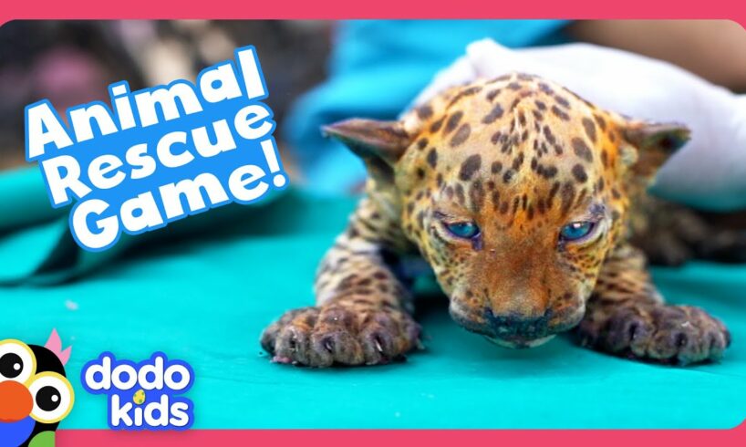 Can YOU Help These Animal Moms Rescue Their Babies? | Dodo Kids | Story Game