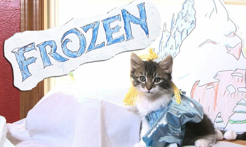 Disney's Frozen (Cute Kitten Version)