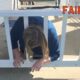 Funniest Fails Of The Week Compilation #16