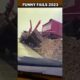 Funny Fails Compilation 2.79 - 2023