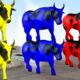 Long Slide Game With Elephant Gorilla Buffalo Hippopotamus Tiger - 3d Animal Game - Funny 3d Animals