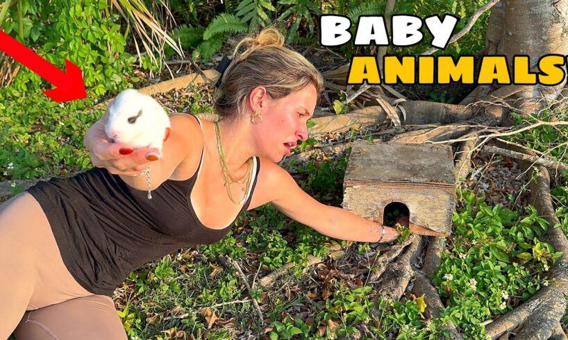 PULLING BABY ANIMALS OUT OF NEST! WHAT IS IT?!