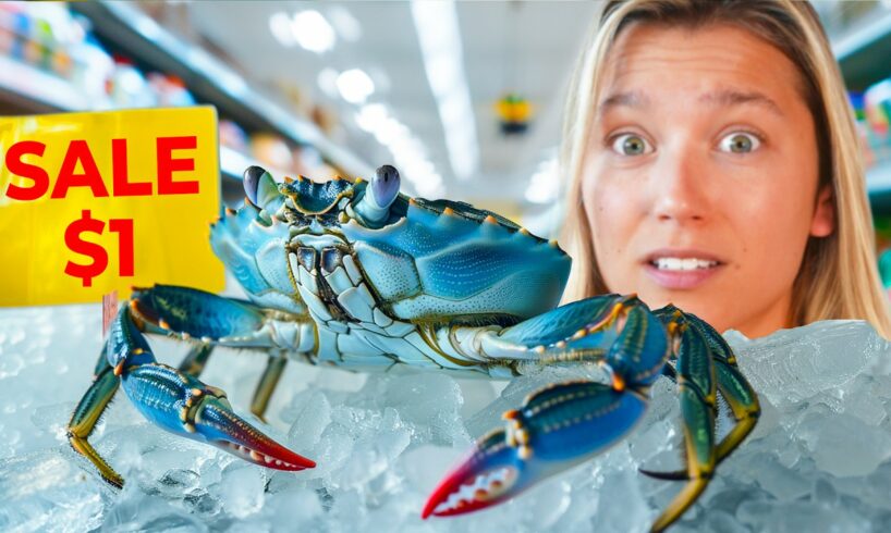 Raising a Grocery Store Crab as a Pet