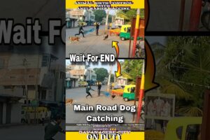 Street Dog Miss Catch । Dog sound #dog #miss #shorts #rescue