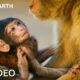 Two Hours of Amazing Animal Moments | 4K UHD | BBC Earth