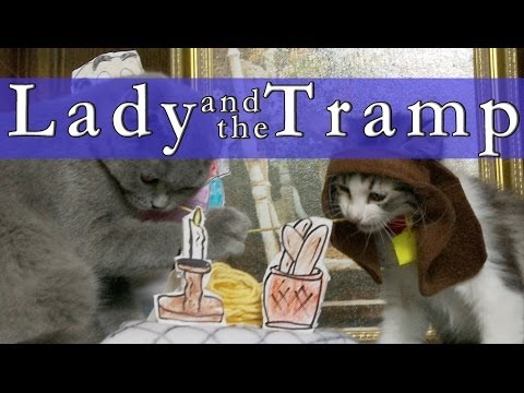 Walt Disney's Lady and the Tramp (Cute Kitten Version)