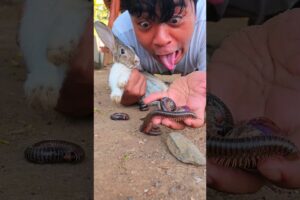 having fun playing suddenly running there was a millipede in the peanut snack #shorts #viral