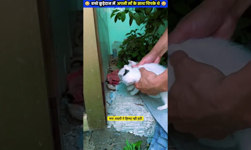 बच्चे कूड़ेदान में अपनी माँ के साथ चिपके थे 😭 #animal #animals #animallover #animalrescue #dog