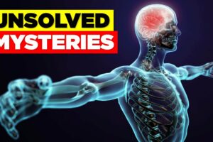 10 UNSOLVED Mysteries of the Human Body