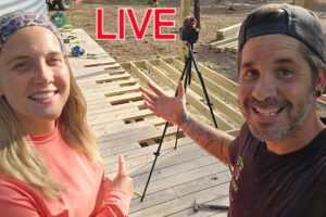 7PM LIVE! Tiny House BUILDING is going AWESOME!