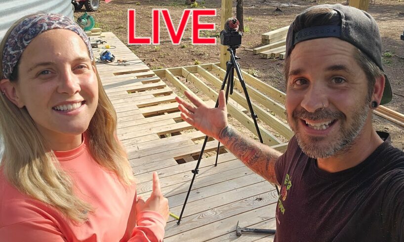 7PM LIVE! Tiny House BUILDING is going AWESOME!