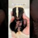 A family rescued a baby skunk and gave it a warm home #Shorts#animals