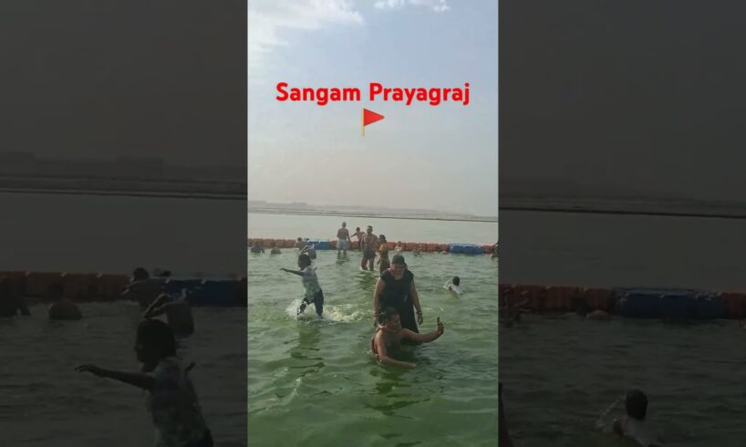 Awesome 😍Prayagraj😘🚩#travel #shorts #youtubeshorts 🎉🎊