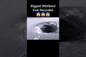 Biggest Whirlpool Ever Recorded 😱😱😱 #whirlpool #scary #thalassophobia