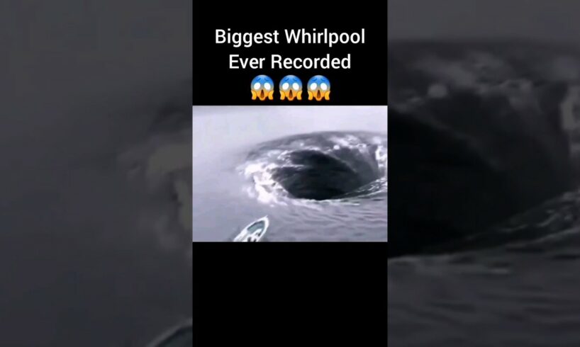 Biggest Whirlpool Ever Recorded 😱😱😱 #whirlpool #scary #thalassophobia