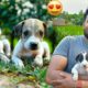 Billo 🐩 Se Cute Puppies Le Aye 😍