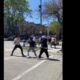 CRAZY STREET FIGHTS! BEST OF 2024 - PART 5