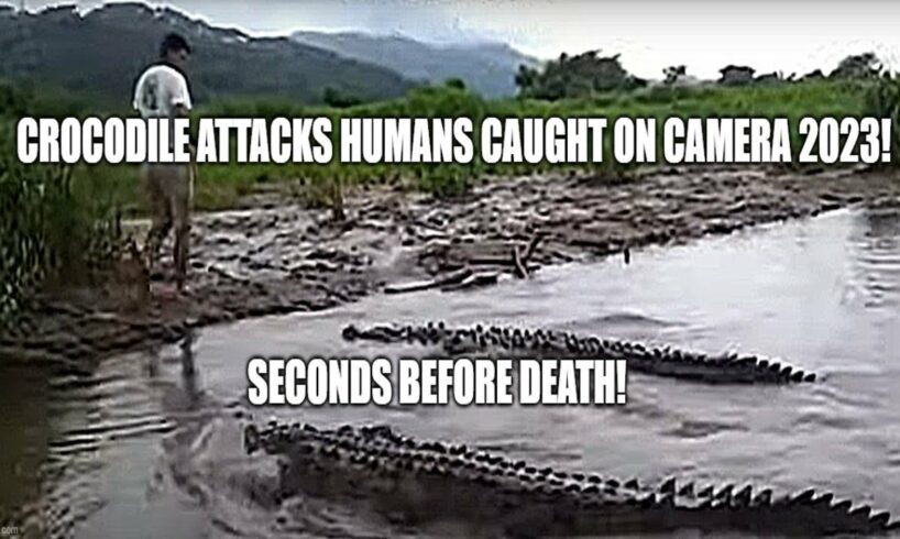 Crocodile attacks humans caught on camera 2023! MOMENTS BEFORE DEATH! NOT for KIDS and weak hearted!