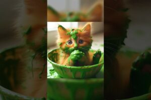 Cute Cats baby playing green colors #shorts #cat #kitten #cute #cutecat #catlover #trending