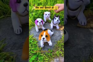 Cute Puppies 🥰🥰 #trending #viral #funnyshorts #chinese