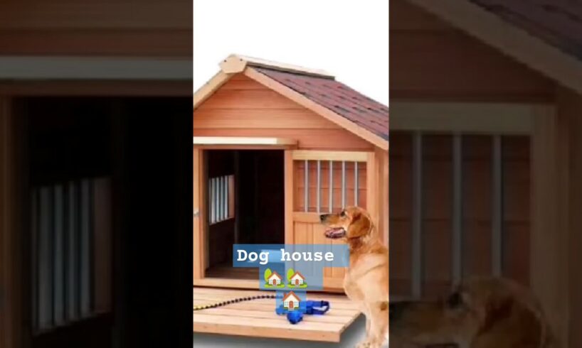 Dog rescue and build Loving Dog House Build House for Puppies  #dog 🐶🐶🐶 #Dog rescue 🏠🏠