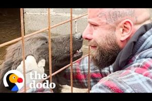 Guy Rescues Hundreds Of Dogs From City Shelters | The Dodo