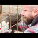 Guy Rescues Hundreds Of Dogs From City Shelters | The Dodo