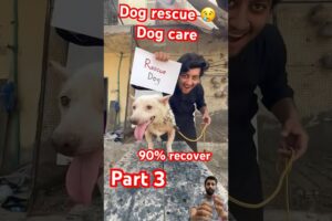 Horror stories | rescued dog #dog #pets #shorts