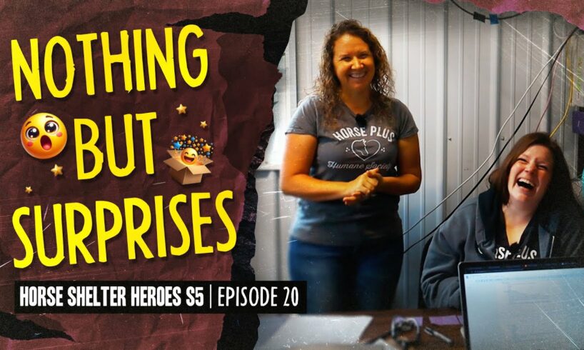 Horse Shelter Heroes S5E20  - Nothing But Surprises