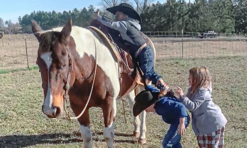 Kids Help Each Other Up on the Horse 🤣 | BEST Animal Videos