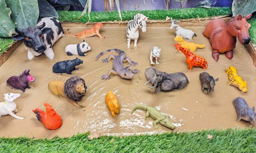 Muddy Adventures with Farm & Zoo Animals for Toddlers 🐮🦎 Learn, Play & Laugh with Amazing Animals