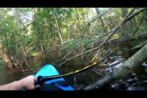 NEAR DEATH CAPTURED by GoPro and camera pt 80