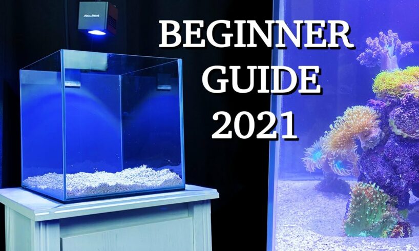 No money, no problem - REEF TANK BASICS - "how to start a saltwater aquarium" BEGINNER GUIDE 2021