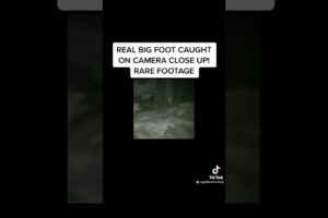 Real Bigfoot caught on camera close up rare footage