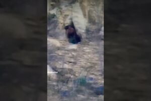 Real giant caught on camera in a cave in Mexico | DARKIVAVERSE