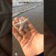 Rescue mission: Saving starfish from hungry bird#shorts