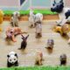 Wild, Desert, Zoo and Farm Animals Playing Adventure in the Muddy kids’ Sandbox