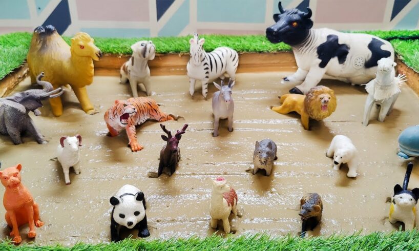 Wild, Desert, Zoo and Farm Animals Playing Adventure in the Muddy kids’ Sandbox