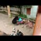 Wild bear attacks two people before getting rescued in India