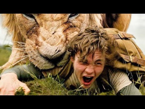 Women Gets Dragged Out Of Safari Car By Lion